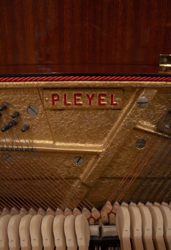 Pleyel Marigny Silence